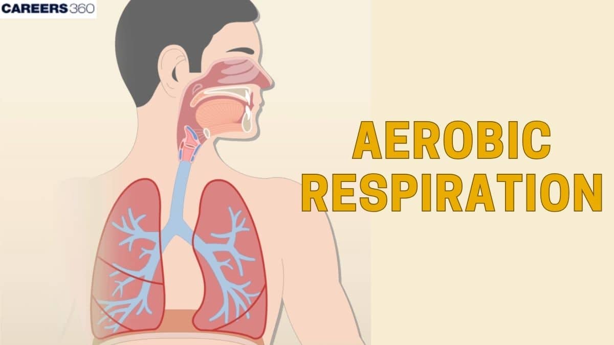 Aerobic Respiration - Defination, Diagrams,Differences